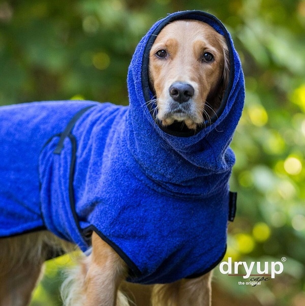 Dryup® Cape BLUEBERRY