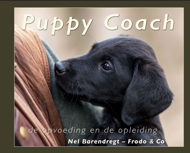 Puppy Coach