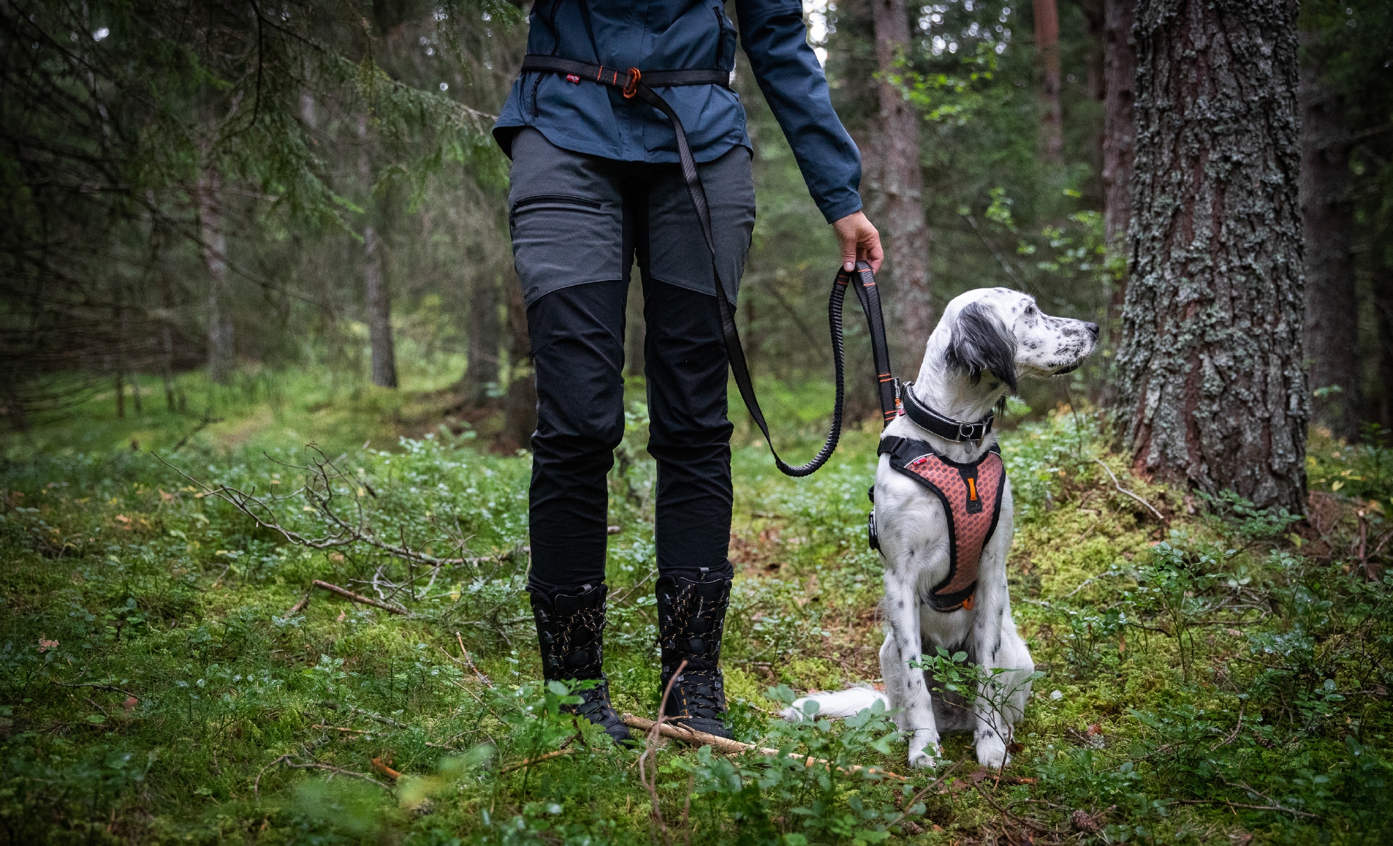 Touring Bungee Leash Adjustable