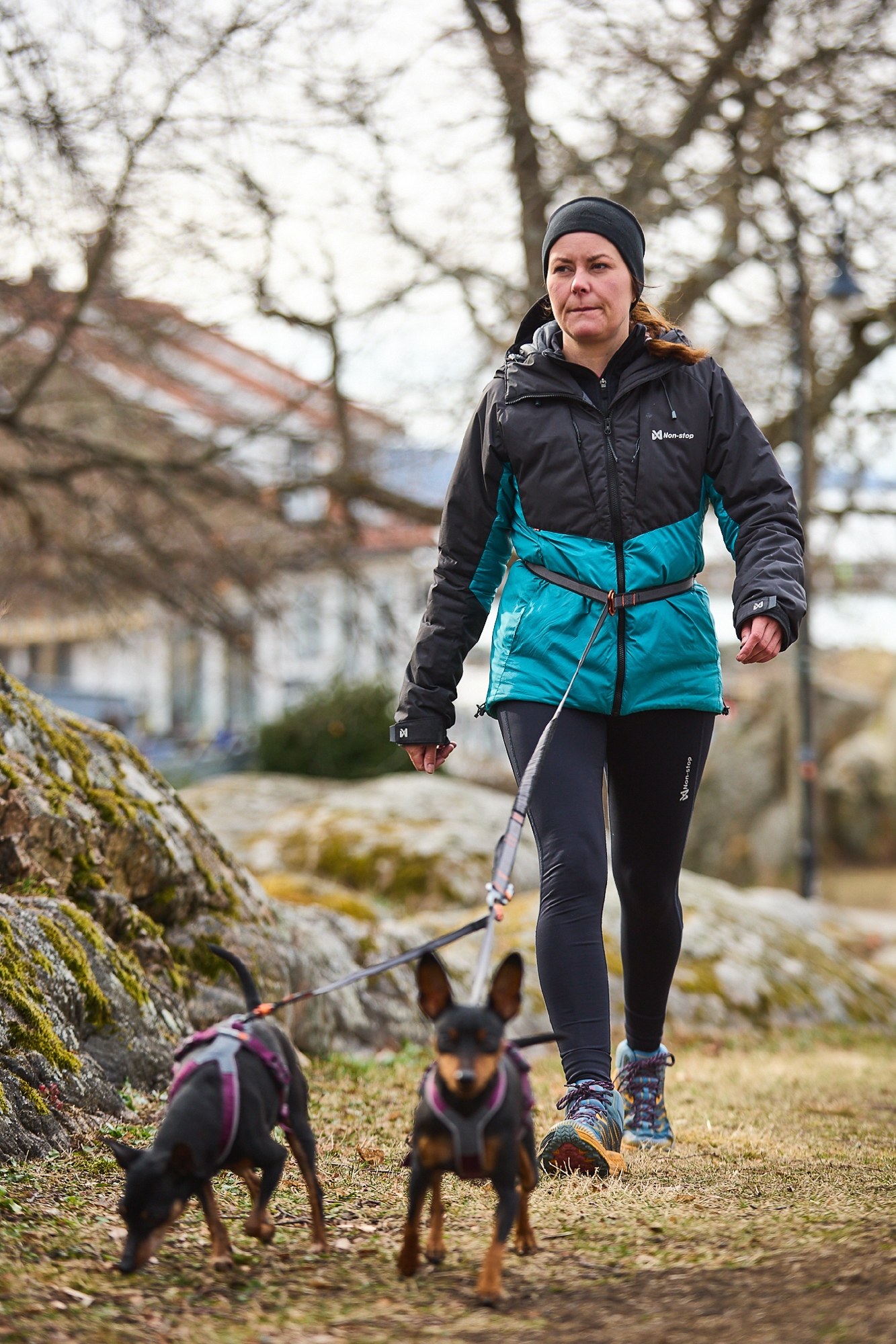 Touring Bungee Leash Adjustable