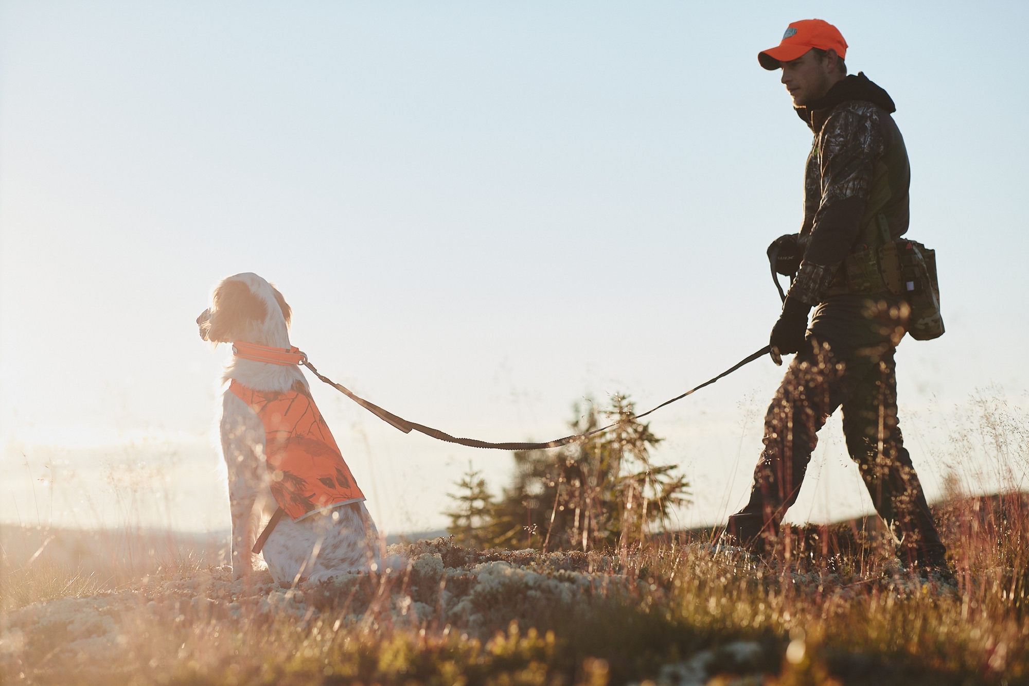 Touring Bungee Leash Adjustable